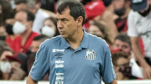 Fábio Carille, treinador do Santos (Foto: Robson Mafra/AGIF)