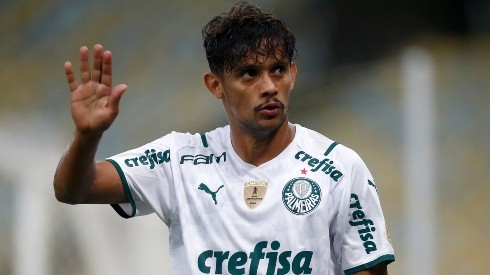 Fluminense v Palmeiras - Brasileirao 2021