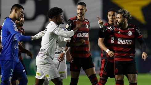 Santos v Flamengo - Brasileirao 2022